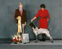 Best Bred By Exhibitor in Show